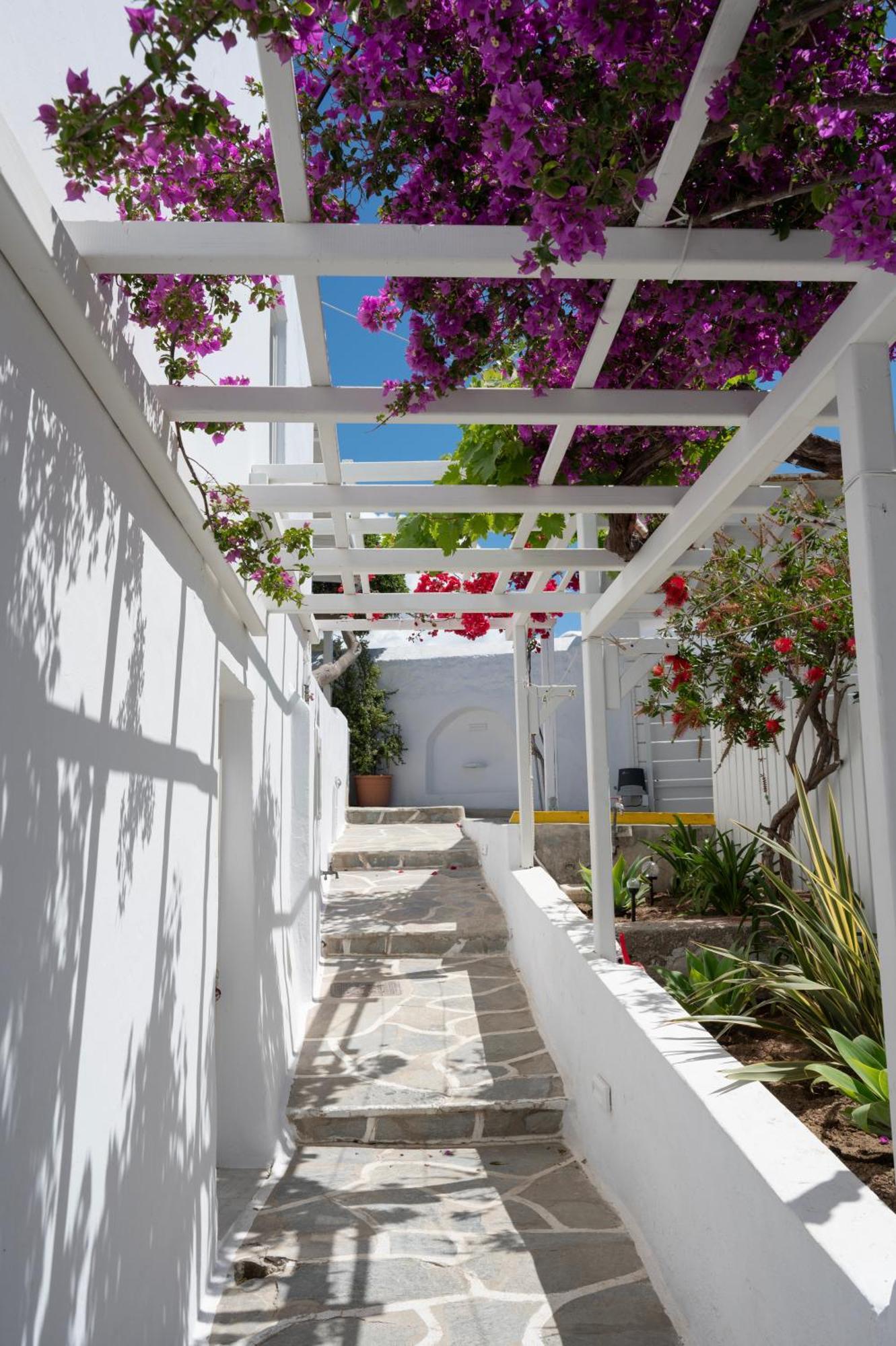 Hotel Boutique Di Vito Mykonos Town Exteriér fotografie