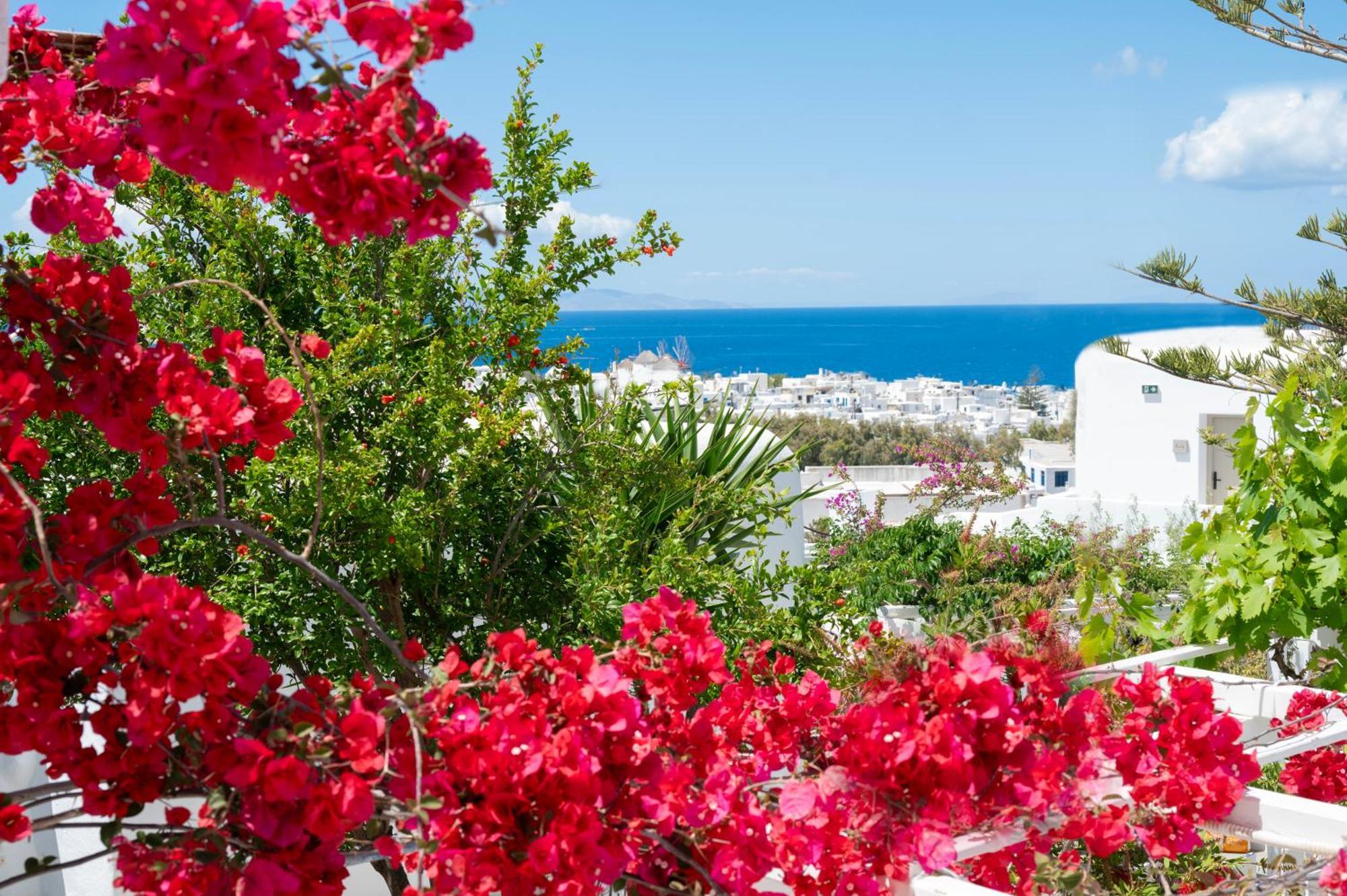Hotel Boutique Di Vito Mykonos Town Exteriér fotografie